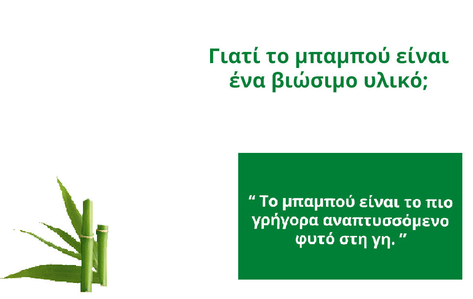 Μιας χρήσης ποτήρια μπαμπού 